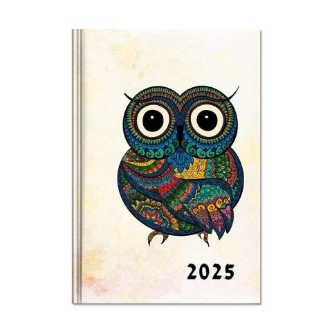 Kalendarz 2025 książkowy B6 dzienny Sowa