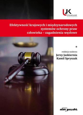 Efektywność krajowych i międzynarodowych... T.1