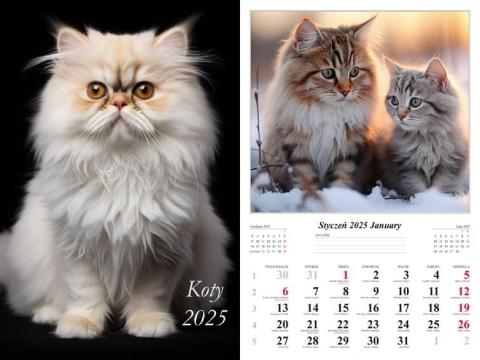 Kalendarz 2025 ścienny Koty