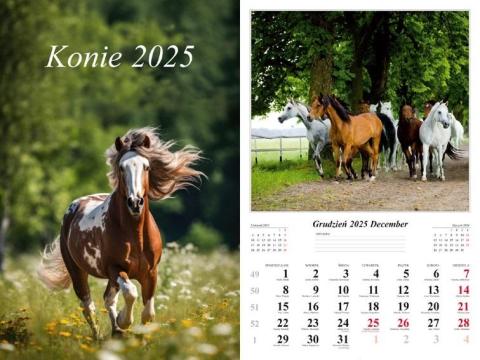 Kalendarz 2025 ścienny Konie