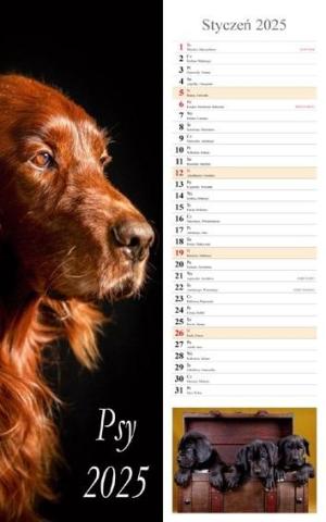 Kalendarz 2025 ścienny pasek Psy