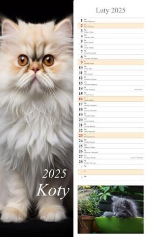 Kalendarz 2025 ścienny pasek Koty