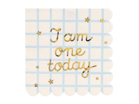 Serwetki papierowe I am one today 33x33cm