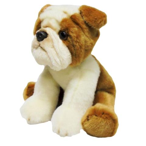 Pies bull dog 30cm