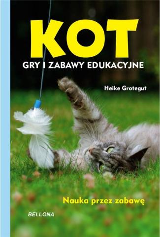 Kot. Gry i zabawy edukacyjne