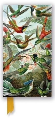 Notatnik linia TW Kolibry Ernst Haeckel