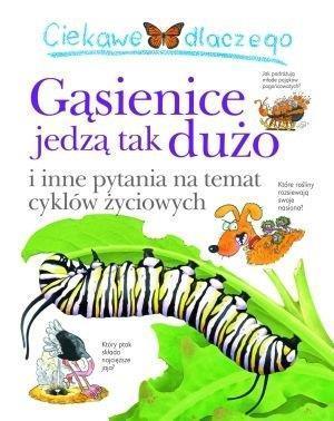 Ciekawe dlaczego - Gąsienice tak dużo jedzą