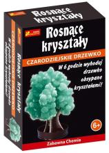 Rosnące kryształy. Czarodziejskie drzewko zielone