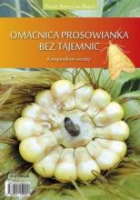 Omacnica prosowianka bez tajemnic HORTPRESS