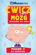 Mensa Kids. Ćwicz swój mózg. Łamigłówki 3