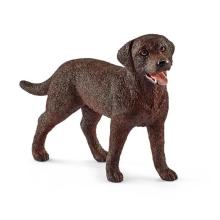 Labrador Retrieve suczka