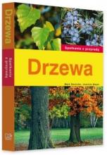 Spotkania z przyrodą. Drzewa