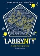 Labirynty. 30 fascynujących łamigłówek