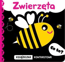 Co to? Zwierzęta. Książeczka kontrastowa