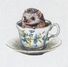 Karnet kwadrat z kopertą Baby Hedgehog