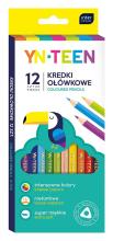 Kredki ołówkowe trójkątne 12 kolorów YN