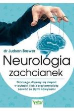 Neurologia zachcianek