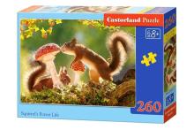 Puzzle 260 Squirrels Forest Life CASTOR