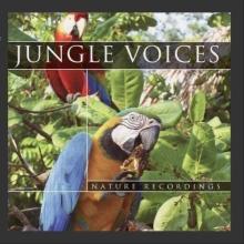 Jungle Voices CD
