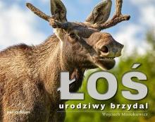 Łoś - urodziwy brzydal