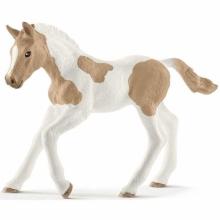 Źrebię rasy Paint Foal