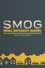 Smog. Diesle, kopciuchy, kominy, czyli dlaczego...