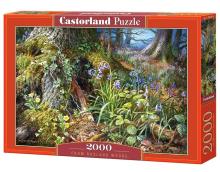 Puzzle 2000 Z lasu w Rusland CASTOR