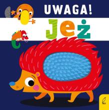 Uwaga, jeż!