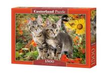 Puzzle 1500 Kitten Buddies CASTOR