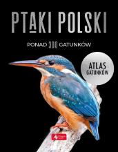 Ptaki Polski. Atlas gatunków