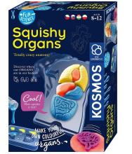 Zestaw Fun Science - Squishy Organs PIATNIK