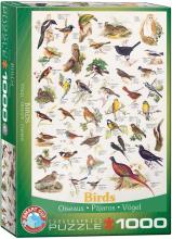 Puzzle 1000 Ptaki