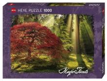Puzzle 1000 Magiczny las o zachodzie słońca