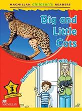 Children's: Big and Little Cats 3 Grandad's...