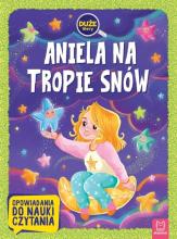 Aniela na tropie snów. Opowiadania do nauki czyt.