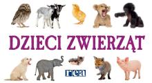 Dzieci zwierząt