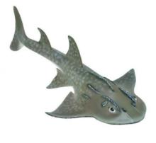 Rekin Bowmouth Guitarfish