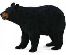 Niedźwiedź Baribal