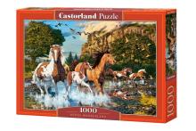 Puzzle 1000 Konie CASTOR