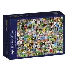 Puzzle 4000 Najpiękniejsze ptaki świata