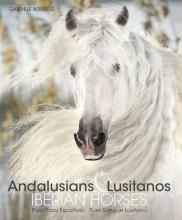 Andalusians & Lusitanos