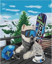 Malowanie po numerach - Snowboardzista 40x50