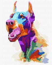 Malowanie po numerach - Doberman pop-art 40x50