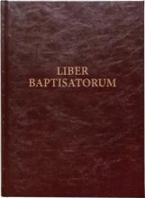 Liber baptisatorum