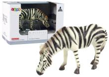 Duża figurka kolekcjonerska Zebra