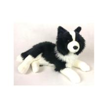 Pies Border Collie 31cm