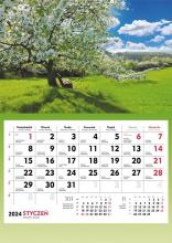 Kalendarz 2024 Ścienny Jabłoń wiosną