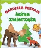 Okruszek poznaje - Leśne zwierzęta