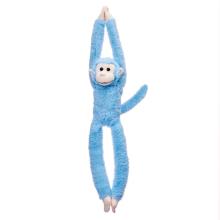 Małpka wisząca niebieska