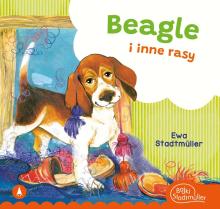 Beagle i inne rasy